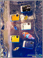 Olympus Stylus 790 SW and 850 SW digital cameras frozen in a block of ice