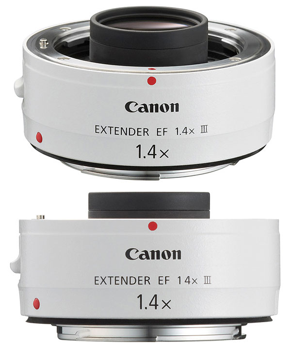 Equipment: Canon EOS-1V HS, Canon EF 500mm f/4L IS USM, Canon EF Extender 2X The Canon EF 2x II Extender is an easy and very affordable way to